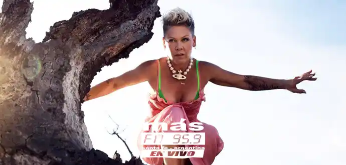 pink-estrena-all-out-of-fight-letra-y-video-1