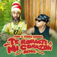fmk-y-fidel-en-te-robaste-mi-corazon-remix-tema